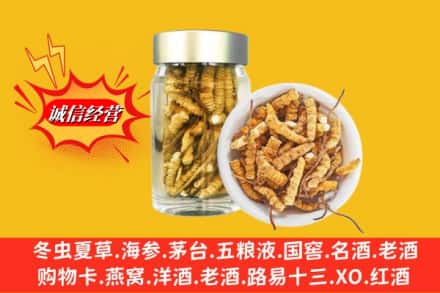 阳泉市盂市回收散虫草