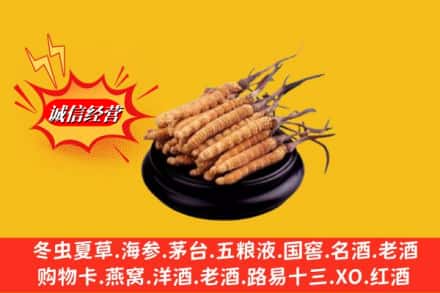 阳泉市盂市求购回收虫草多少钱每克